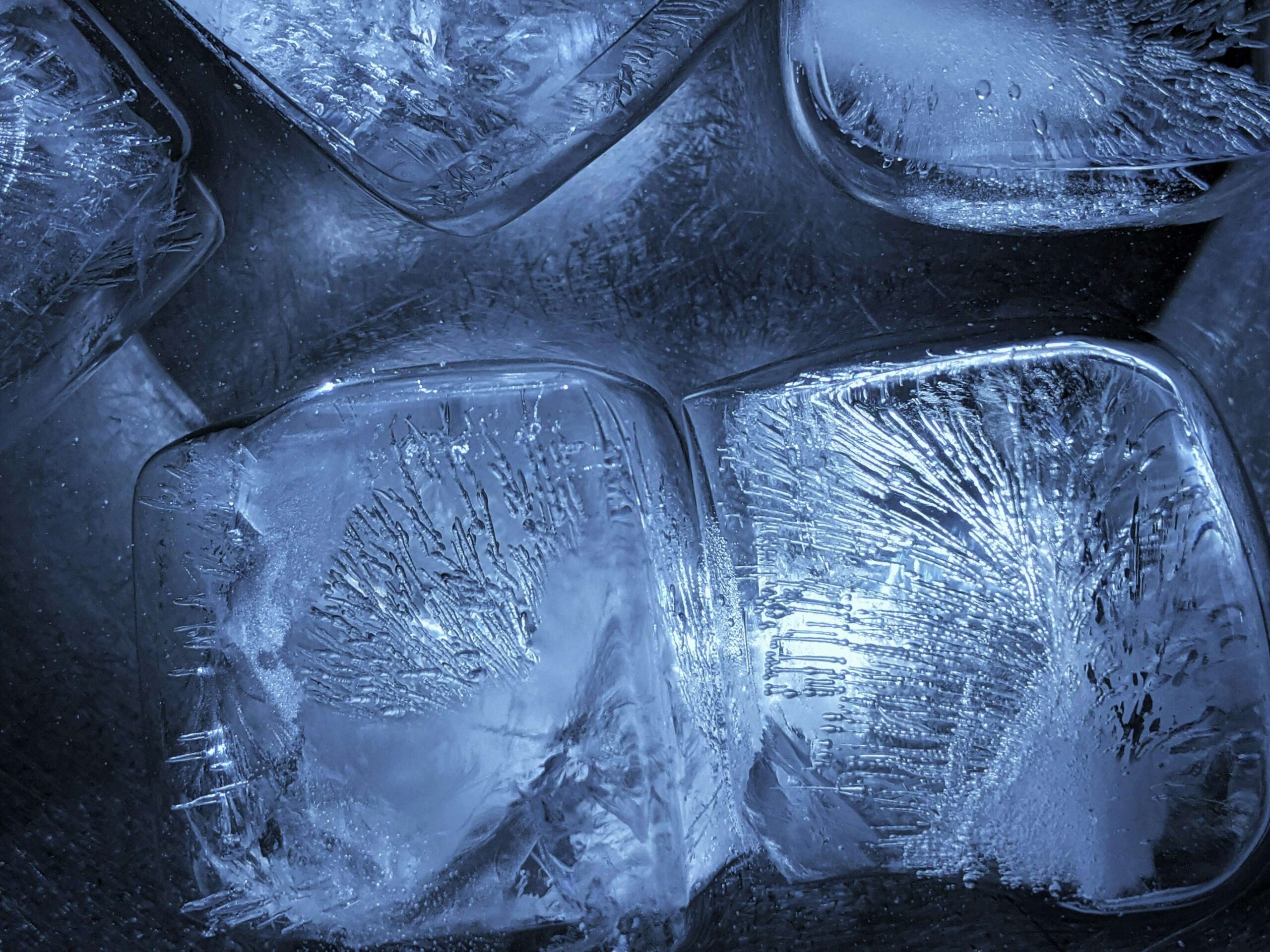 Freeze-Dried Websites: Static Sites in 2026